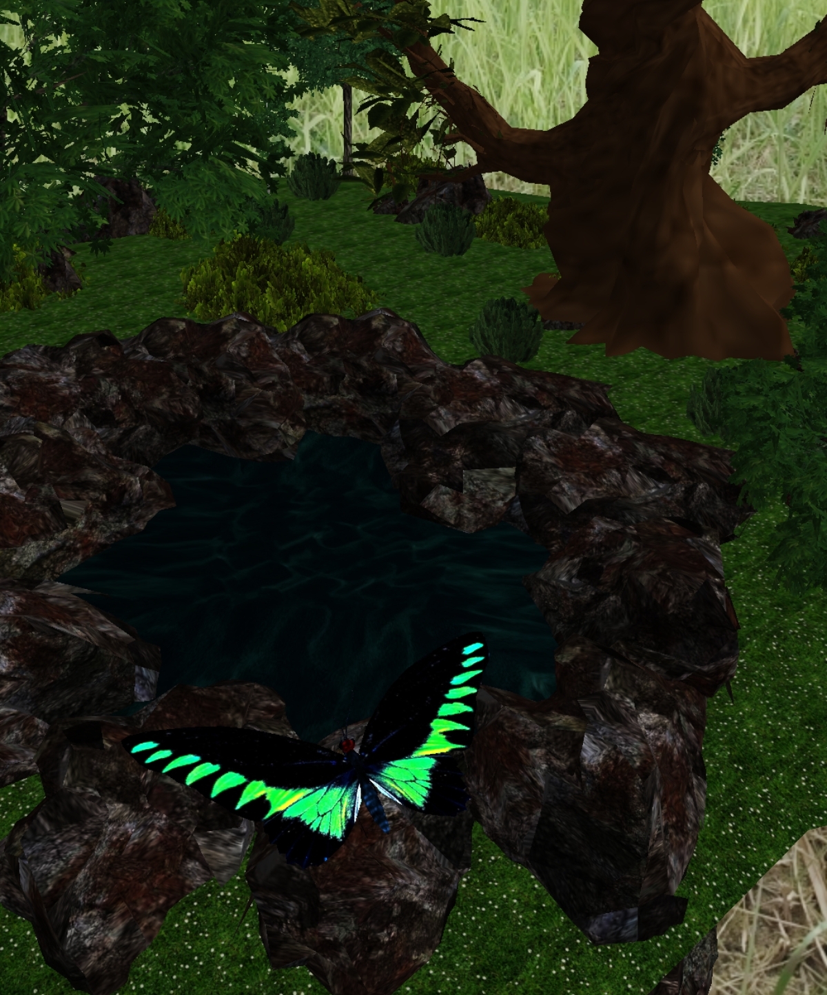 Forest Reawakening Logo